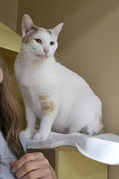 Snow White thumbnail 2