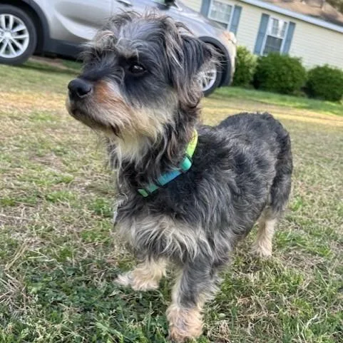 Lucy Mae