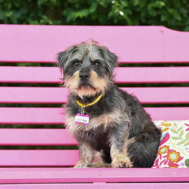 Lucy Mae thumbnail 2