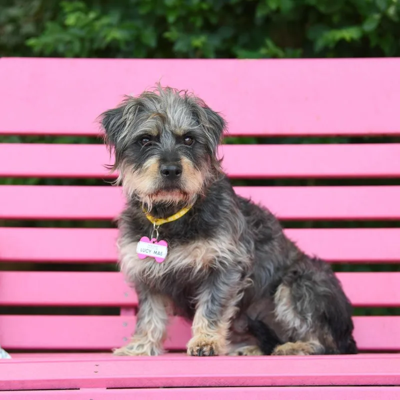 Lucy Mae thumbnail 6