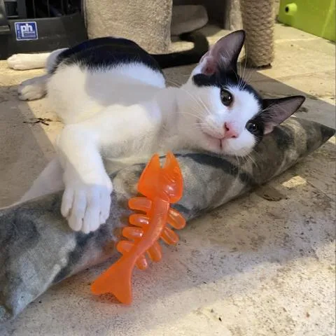 Texas Pete thumbnail 3