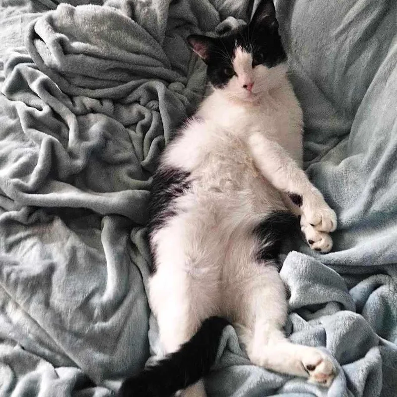 Street Sweetest Boy thumbnail 2