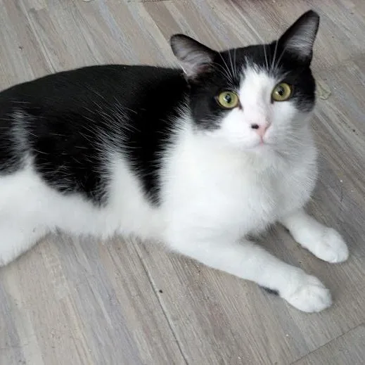 Street Sweetest Boy thumbnail 3