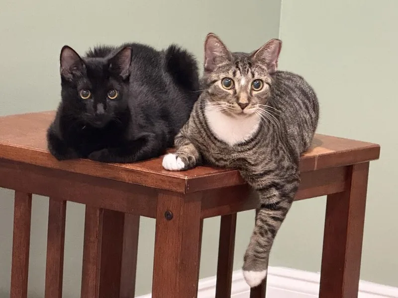 Tuesday K thumbnail 2