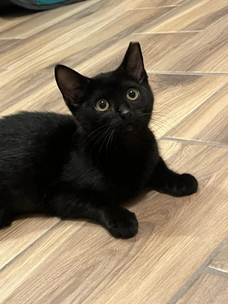 Tuesday K thumbnail 3