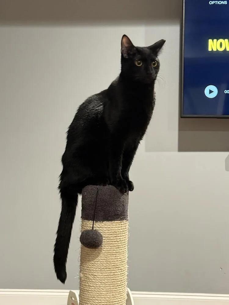 Tuesday K thumbnail 4