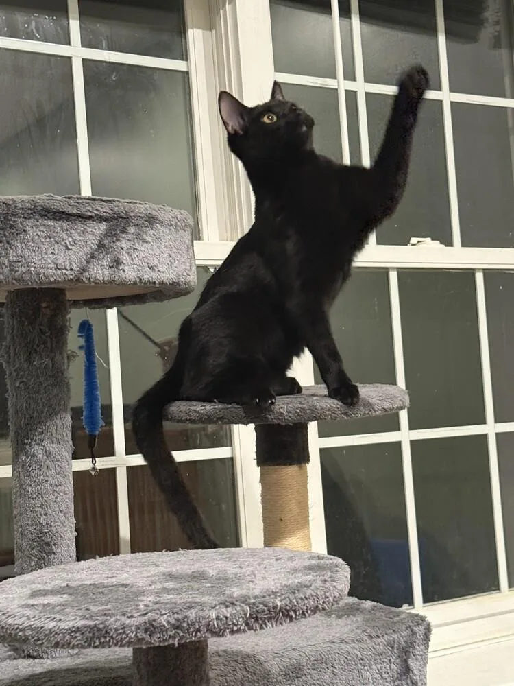 Tuesday K thumbnail 6