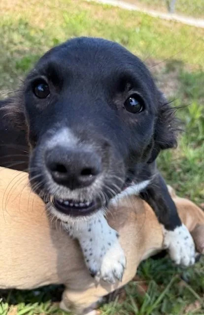 Marilyn Monroe thumbnail 2