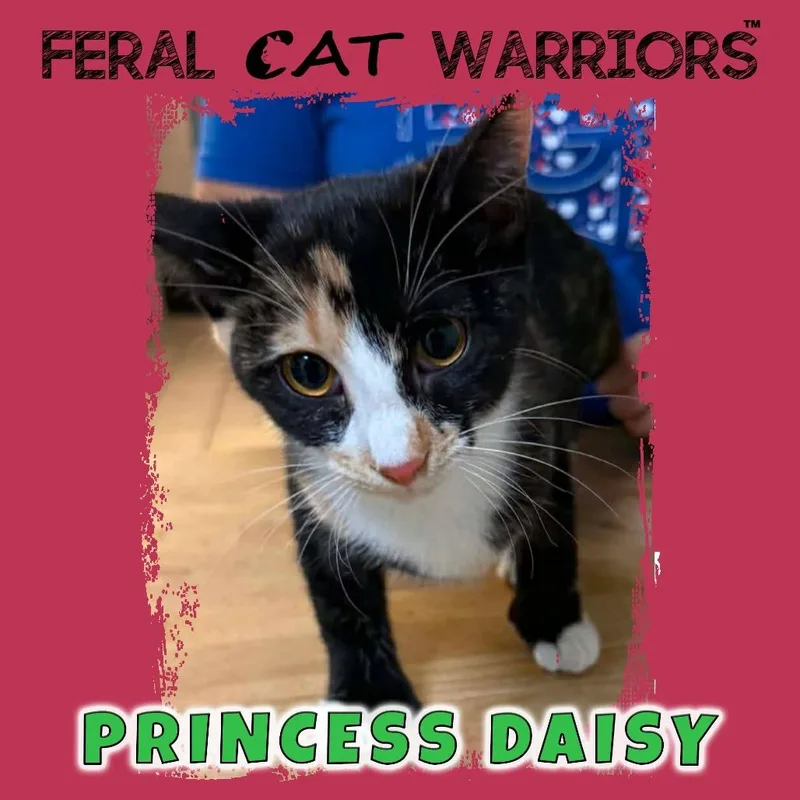 Princess Daisy