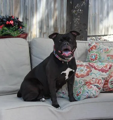 Precious thumbnail 2