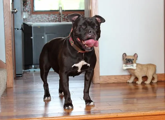 Precious thumbnail 3