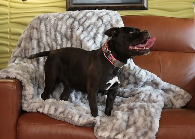 Precious thumbnail 4