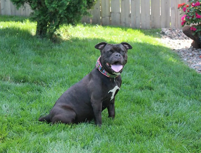 Precious thumbnail 5