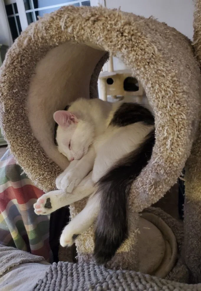Sunday thumbnail 2