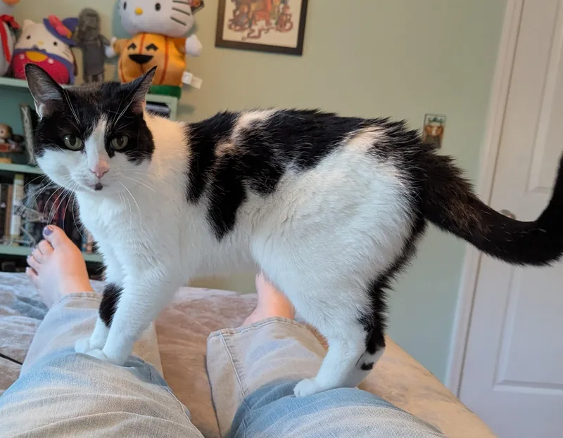 Gabby thumbnail 3