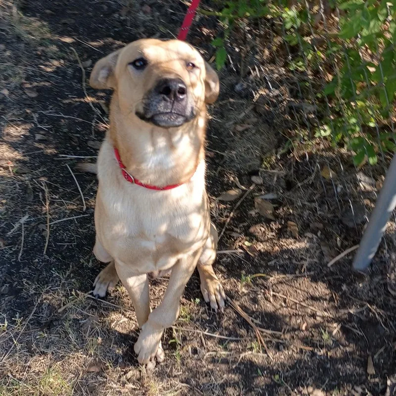 Memphis D thumbnail 2