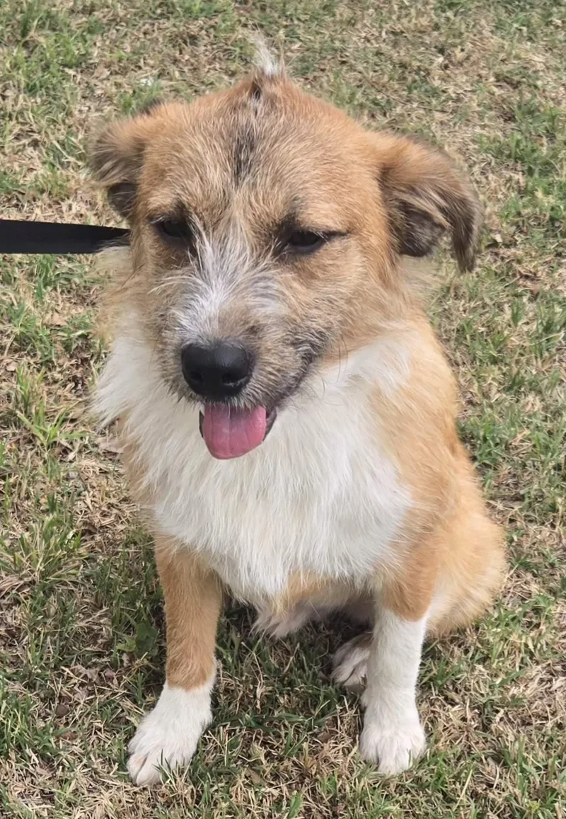 Maxwell   $ thumbnail 2