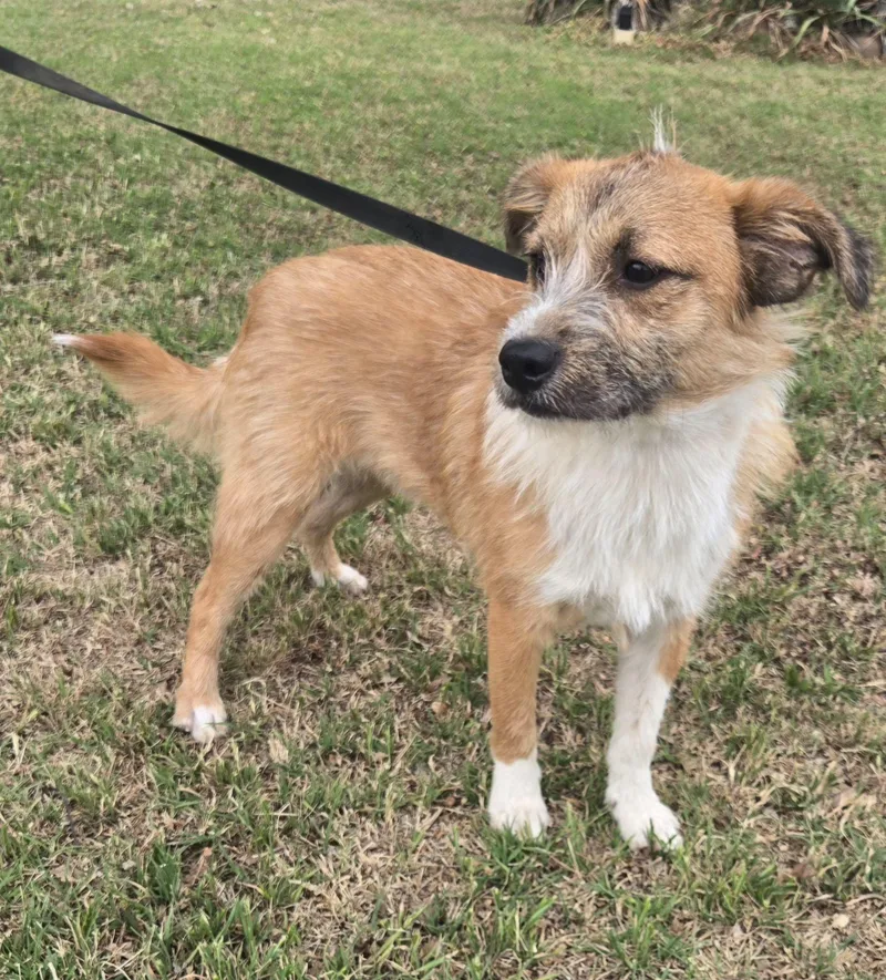 Maxwell   $ thumbnail 3