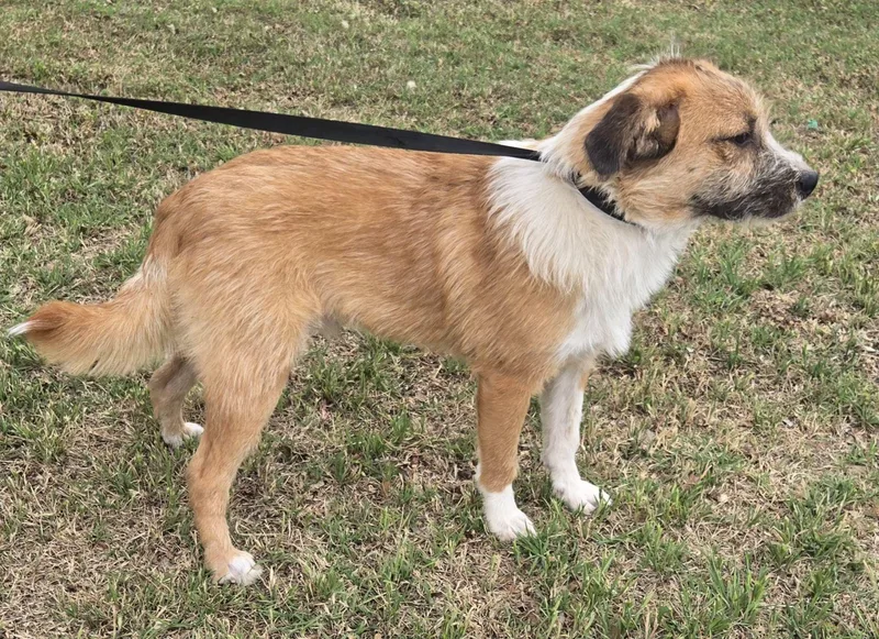 Maxwell   $ thumbnail 4