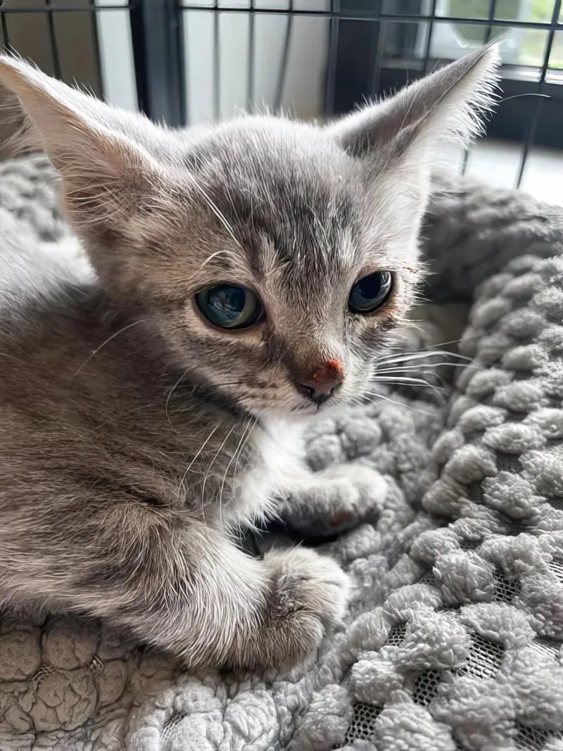 Minnie