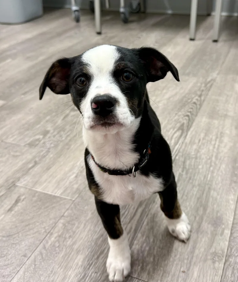 Sophie's Zuko thumbnail 3