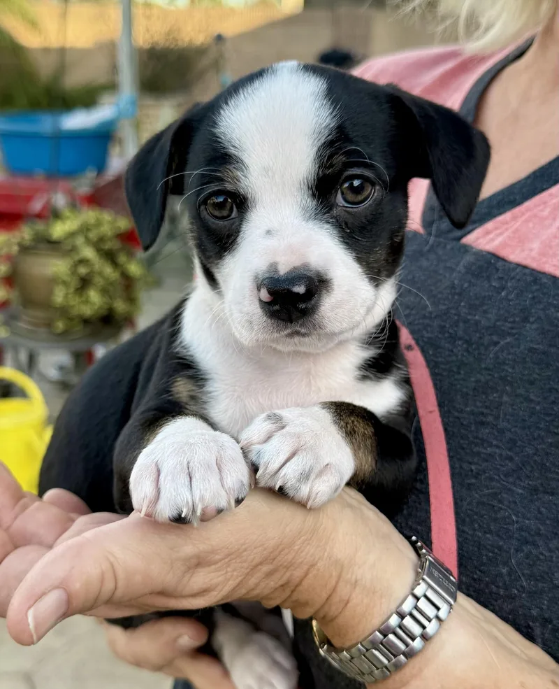 Sophie's Zuko thumbnail 4