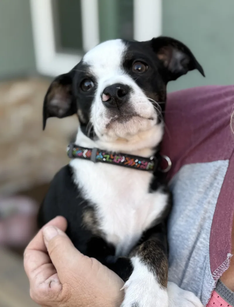 Sophie's Zuko thumbnail 5