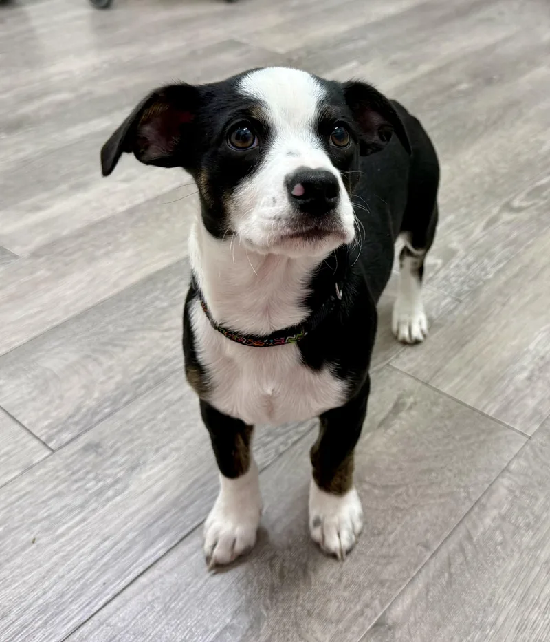 Sophie's Zuko thumbnail 6