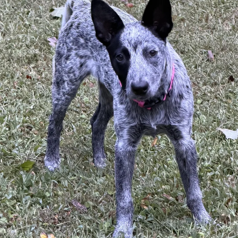 Missy thumbnail 4