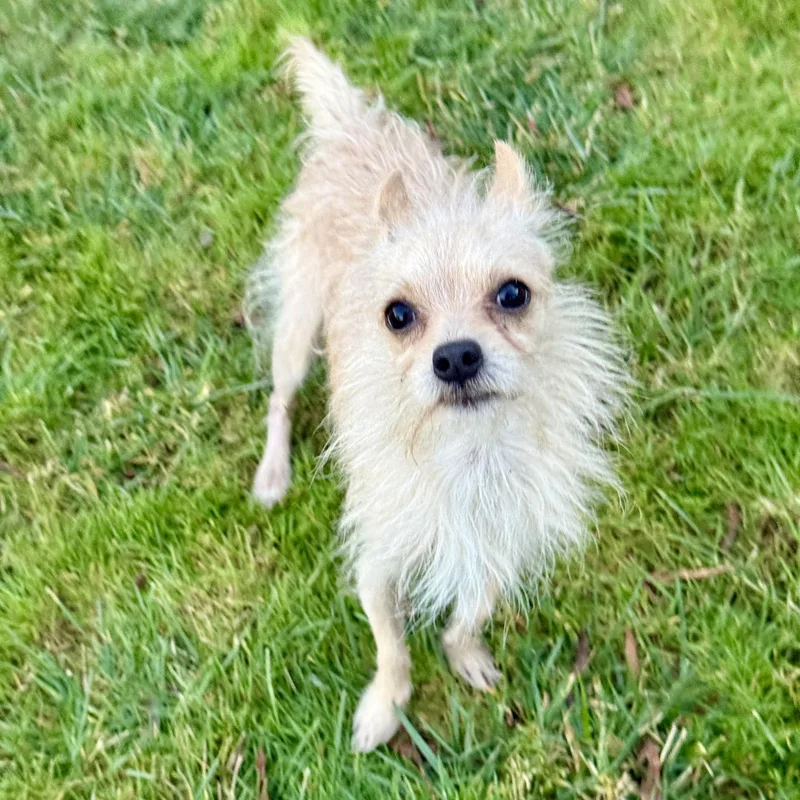 Lucky Jack thumbnail 3