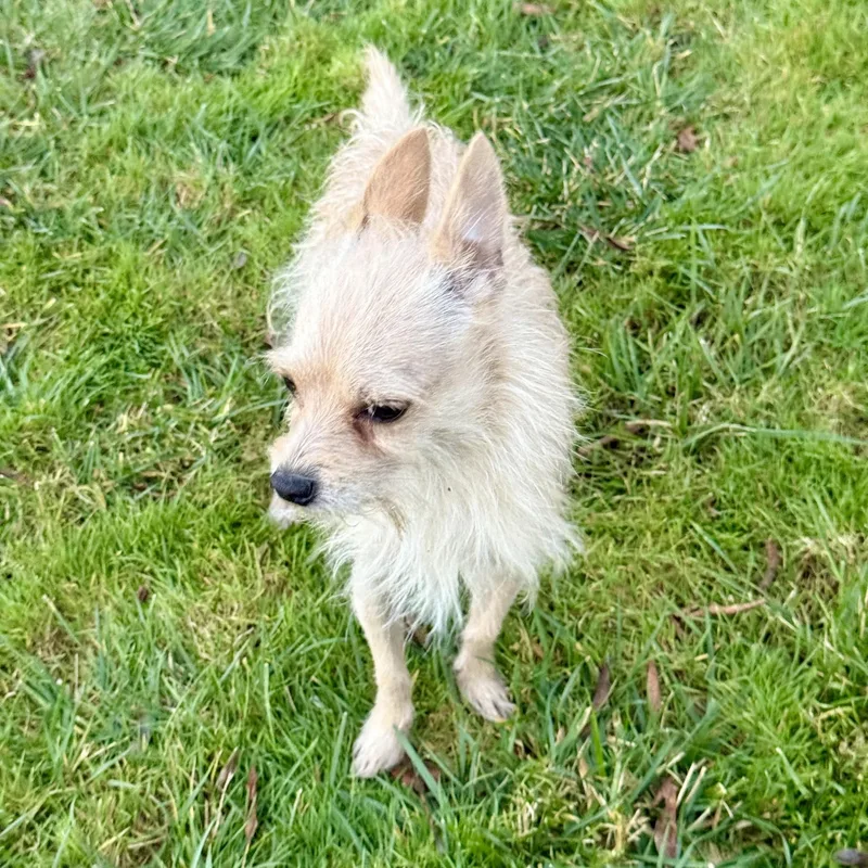 Lucky Jack thumbnail 4