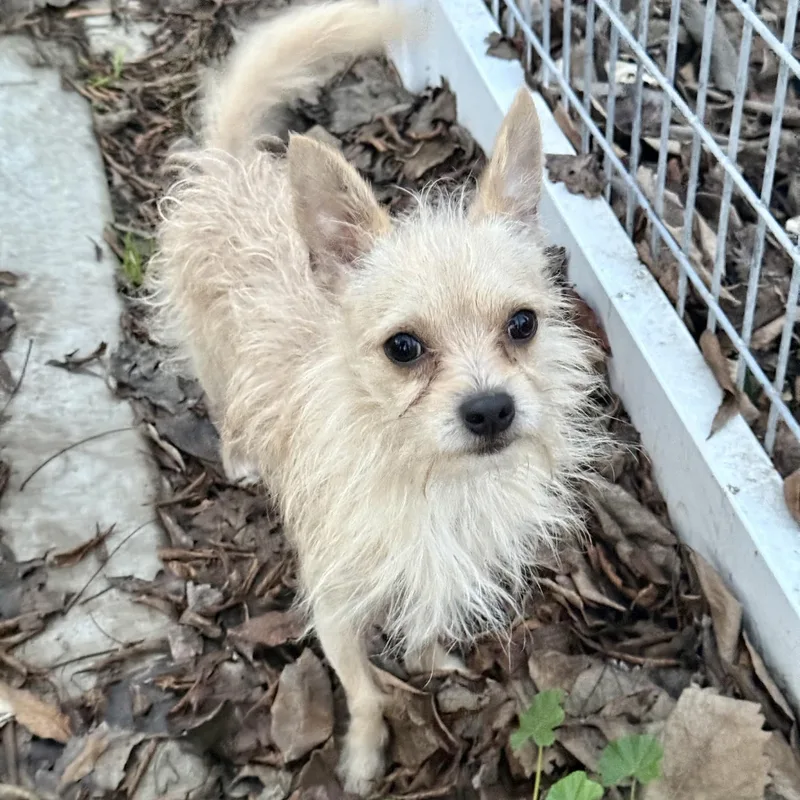 Lucky Jack thumbnail 5