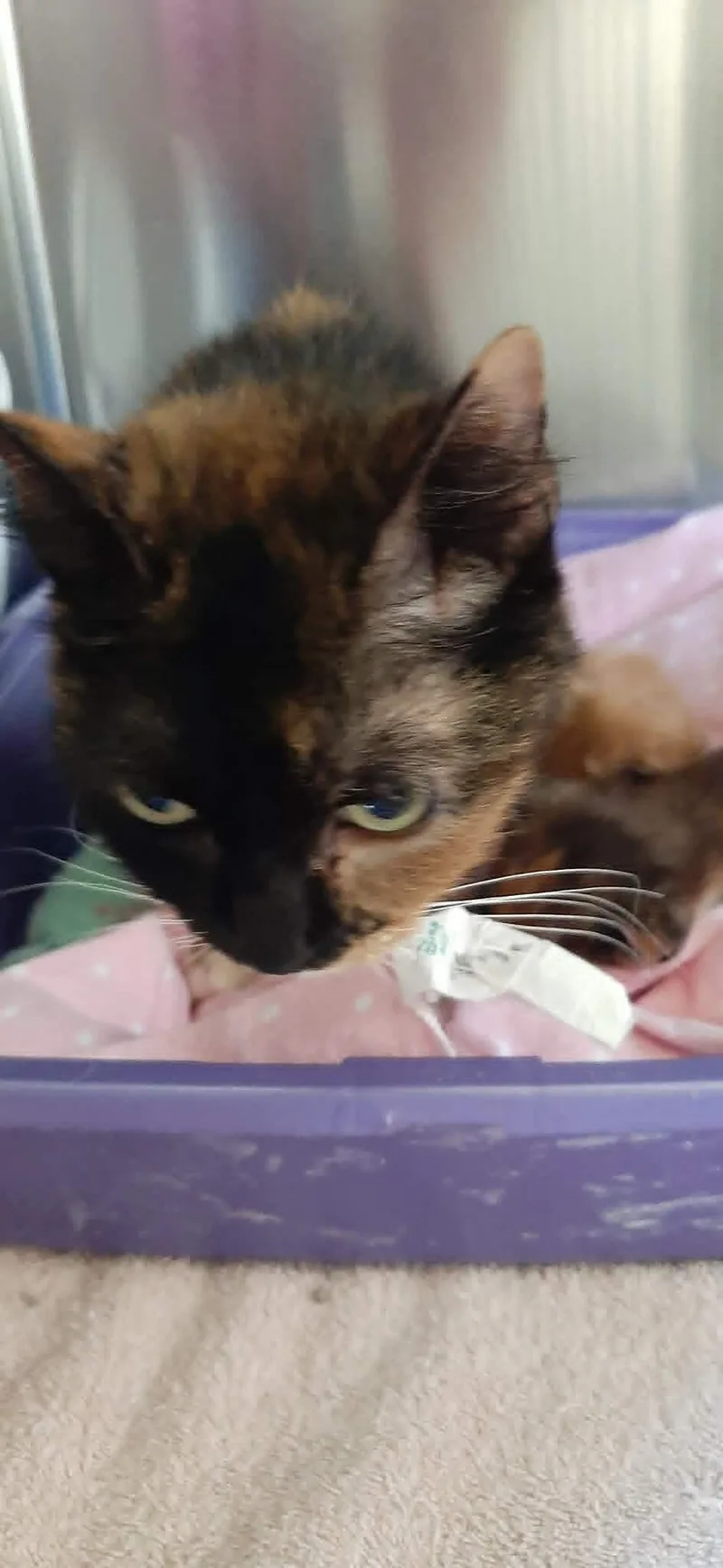 Wilma aka Mamma