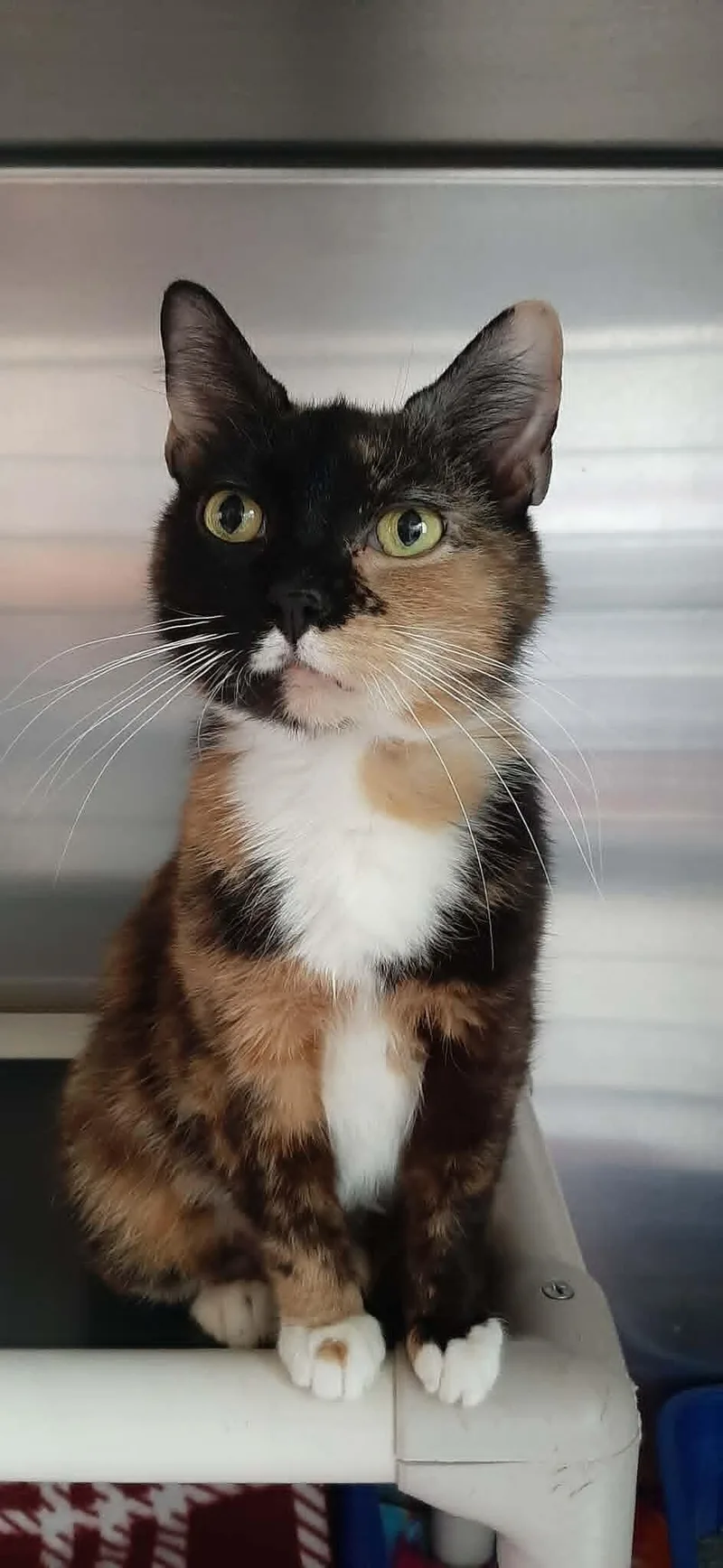 Wilma aka Mamma thumbnail 2