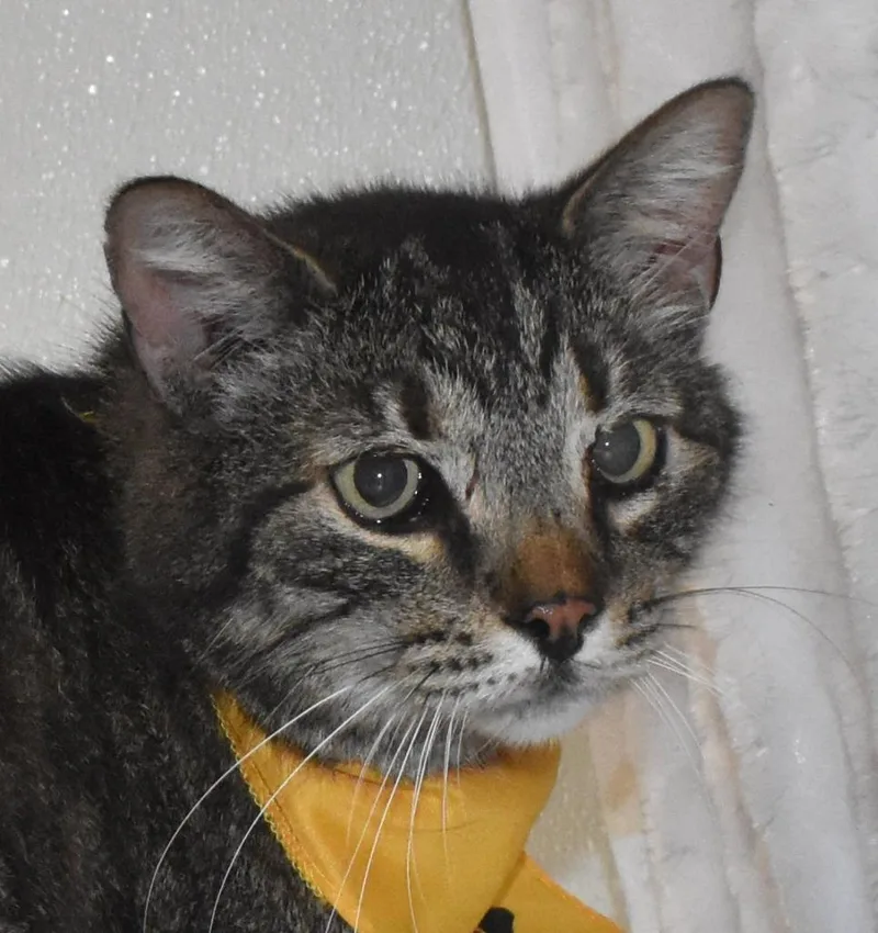 Skittles thumbnail 2