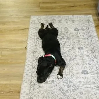 Eloise Chino Hills Location