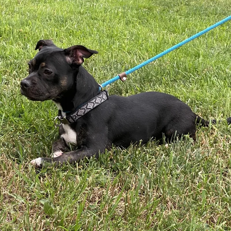 Eloise Chino Hills Location thumbnail 4