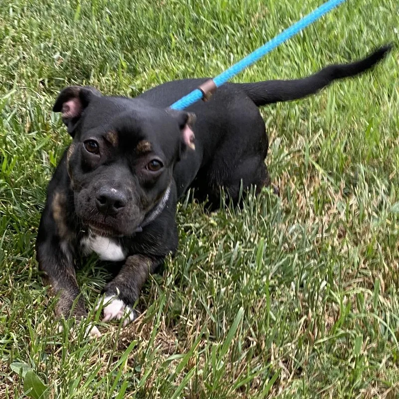 Eloise Chino Hills Location thumbnail 5