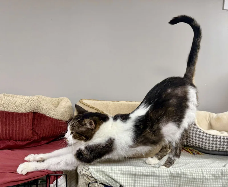 Echo Cunningham thumbnail 2