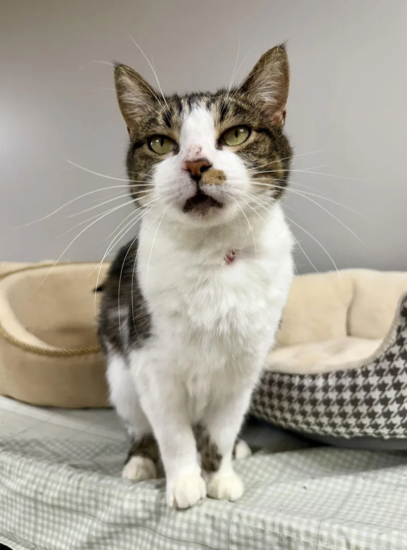 Echo Cunningham thumbnail 3