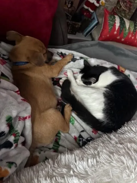 Izzy & Carol thumbnail 2