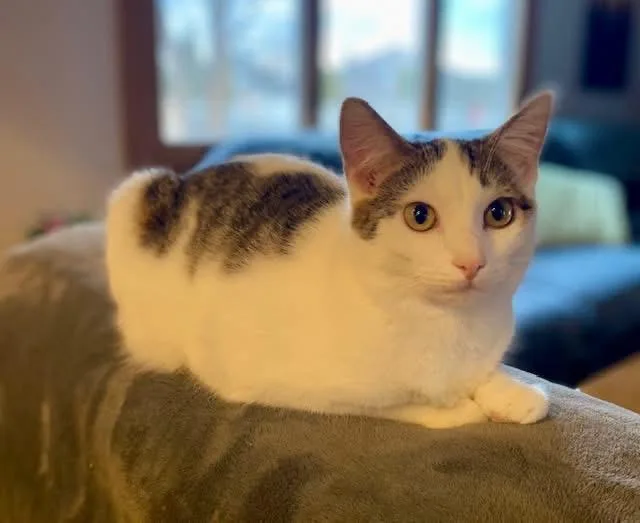 Izzy & Carol thumbnail 3