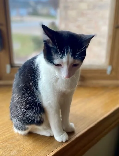 Izzy & Carol thumbnail 4