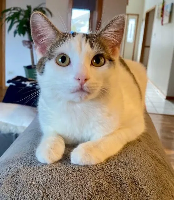 Izzy & Carol thumbnail 5