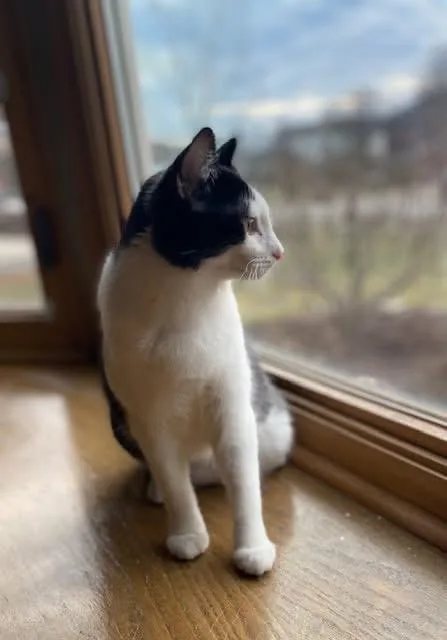 Izzy & Carol thumbnail 6