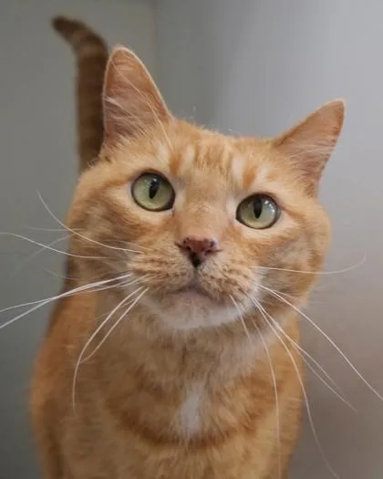 Piper Bea thumbnail 2