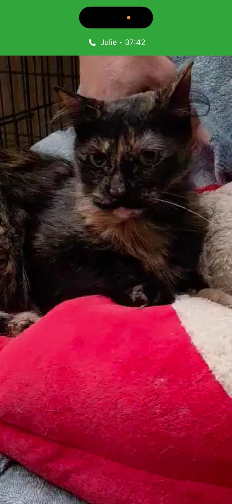 Zoe