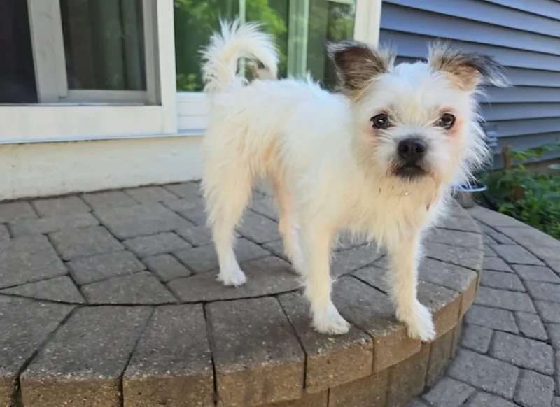 Tilly thumbnail 2