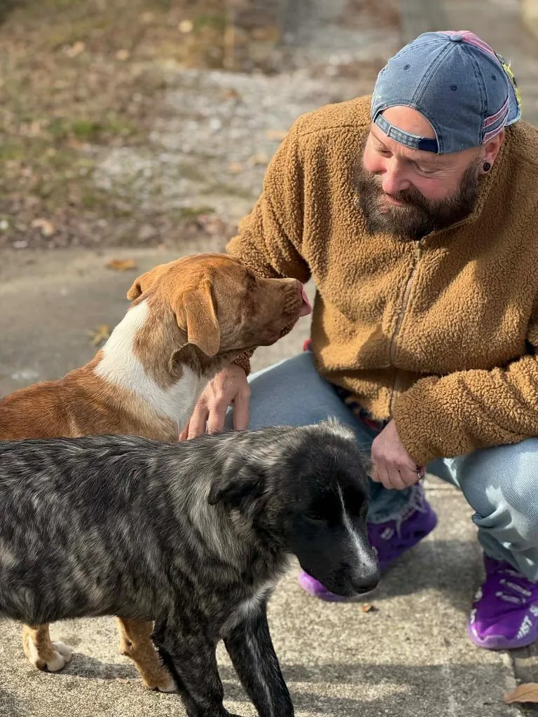 Mazie Mae thumbnail 4