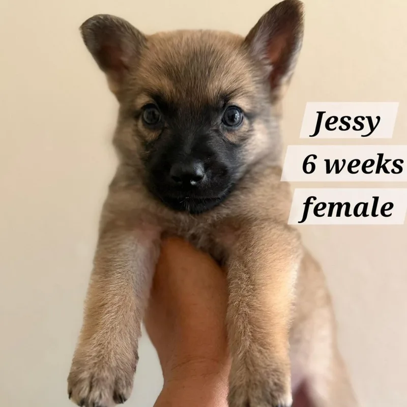 Jessy thumbnail 2